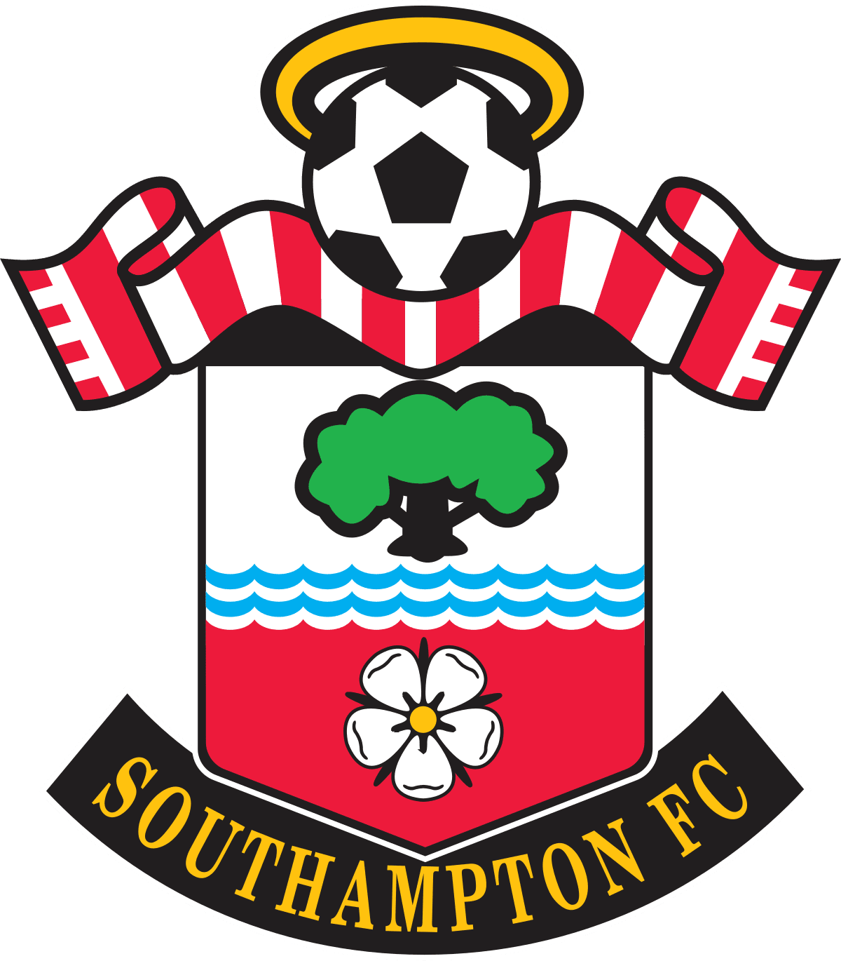 Voetbalreizen Southampton FC