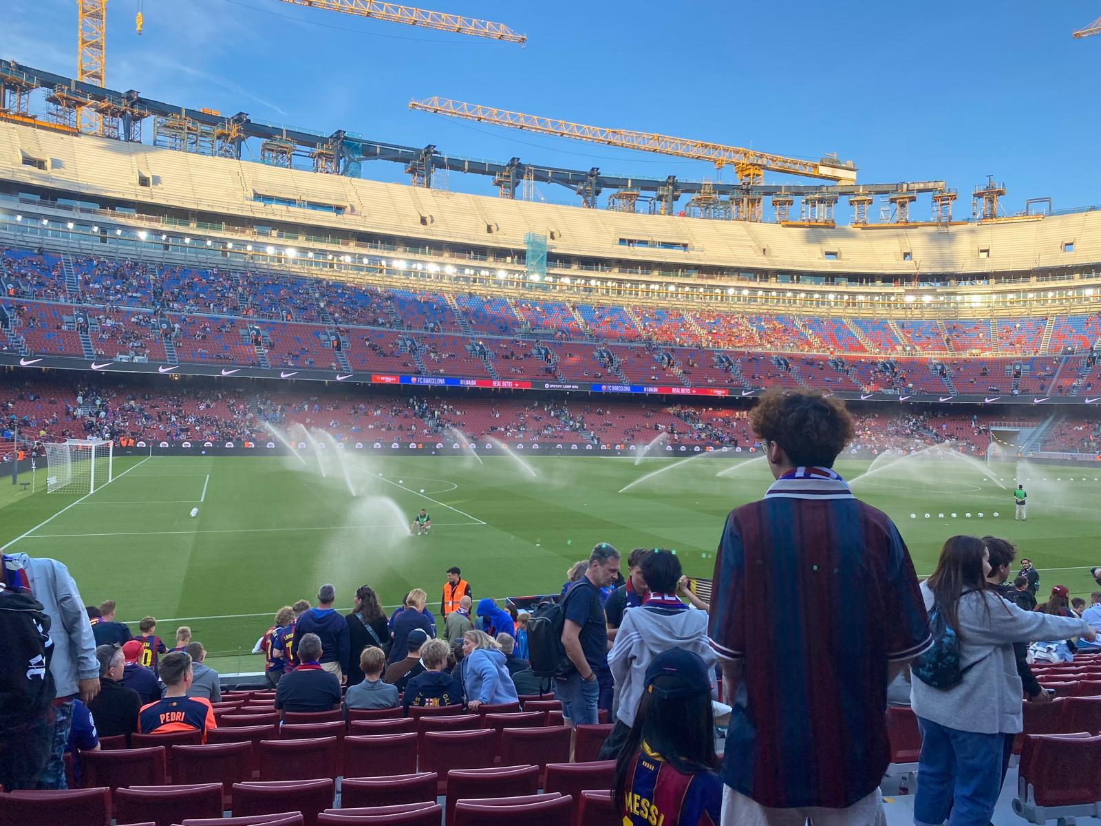 Tribuna